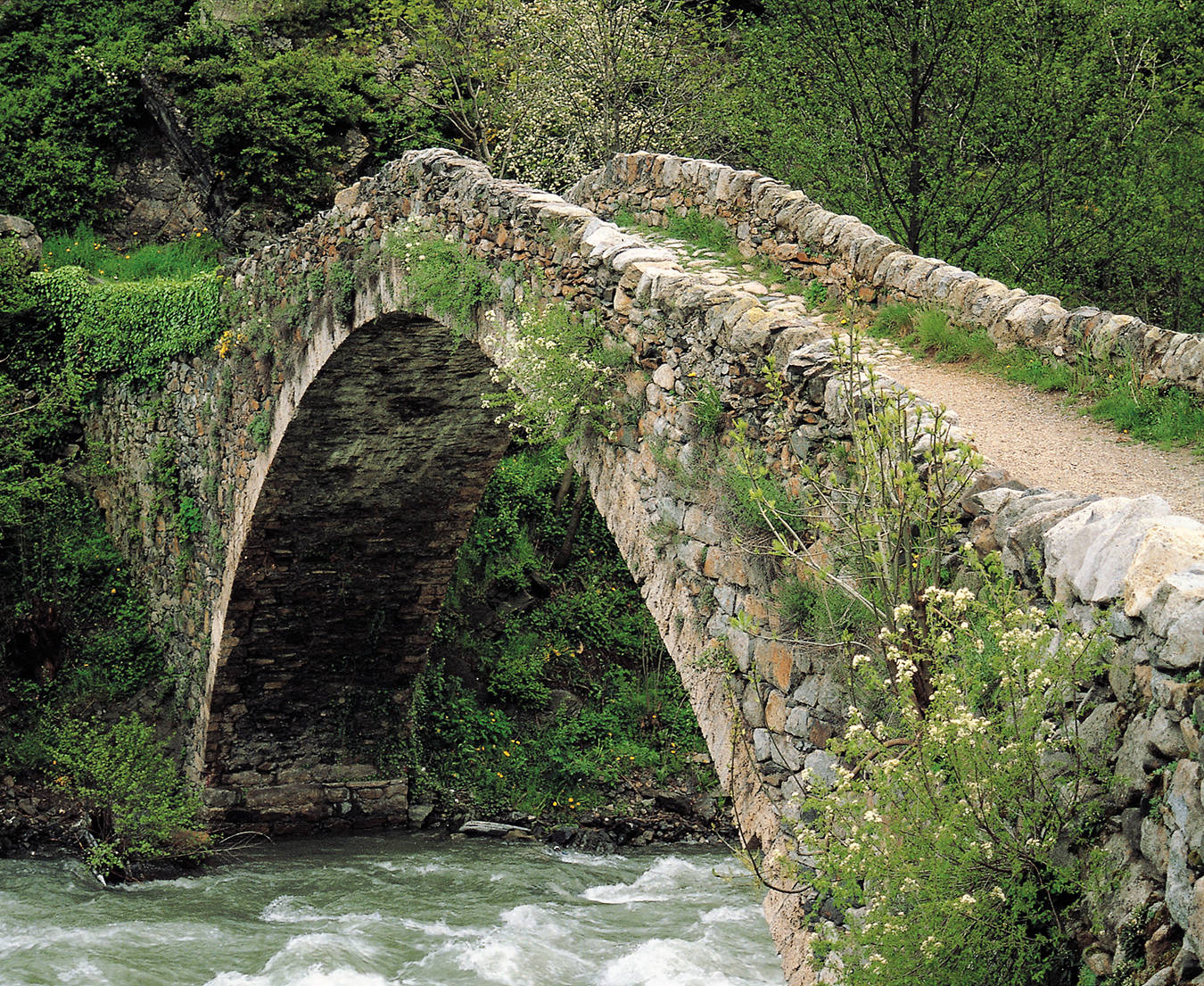 Pont de la Margineda