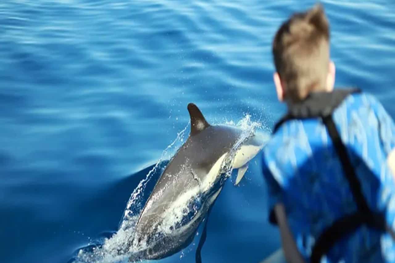 Family Boat Trips Puerto Del Carmen