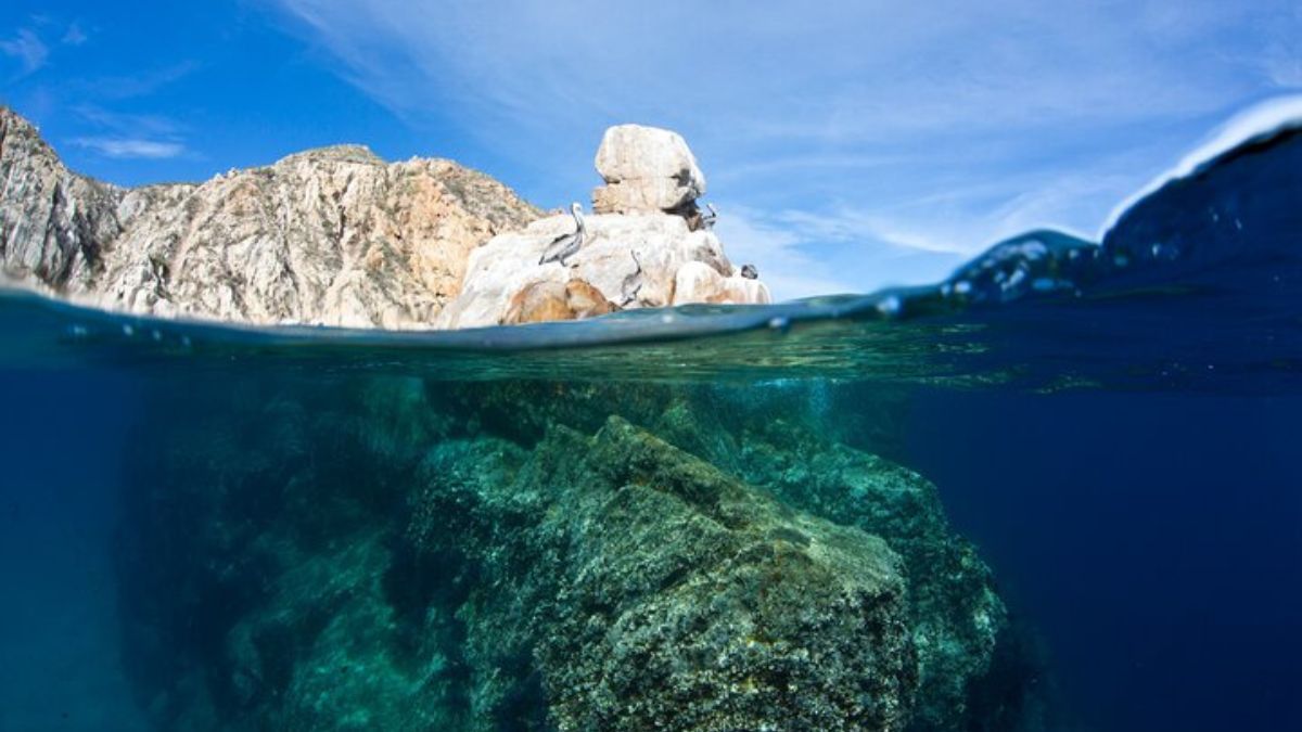 Pelican Rock