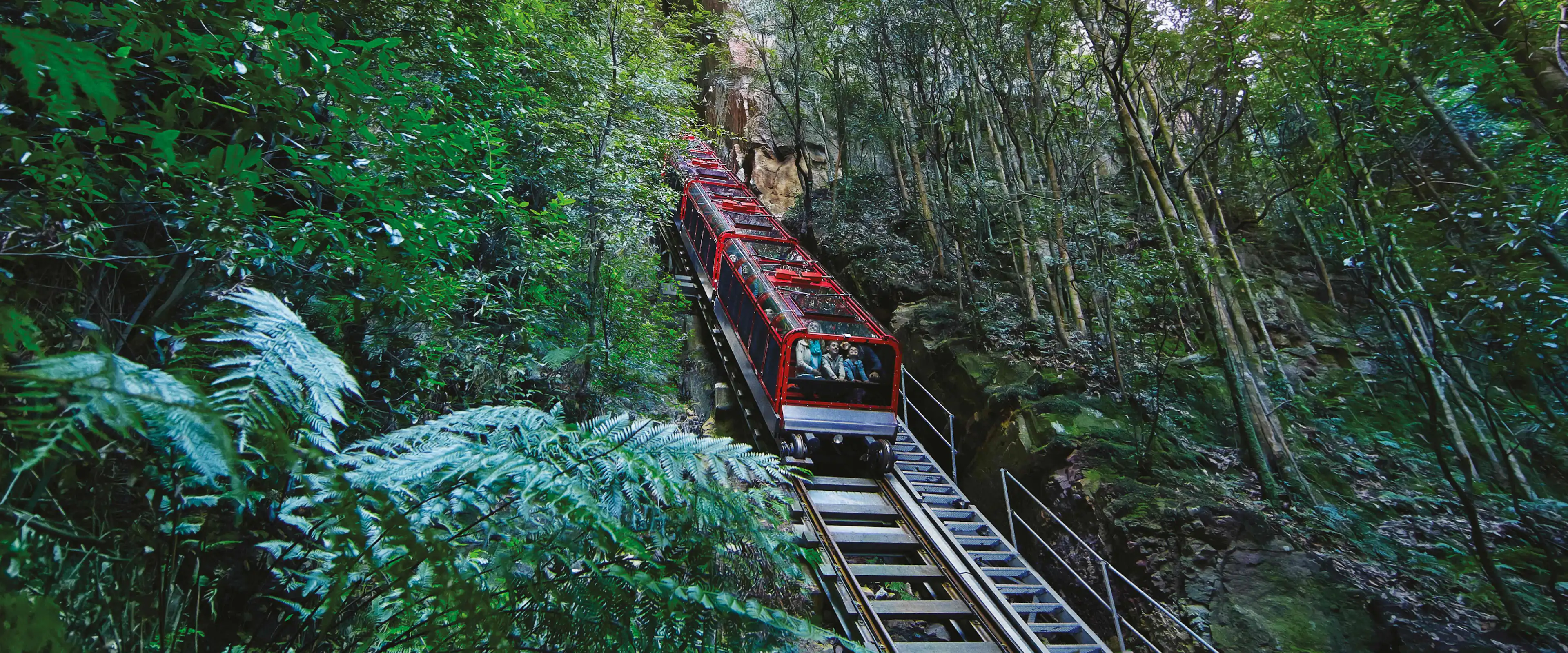 Scenic Railway