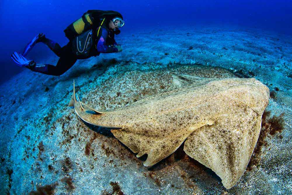 The Atlantic Seabed
