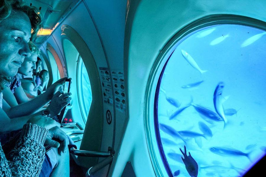Cabin Viewing Portholes