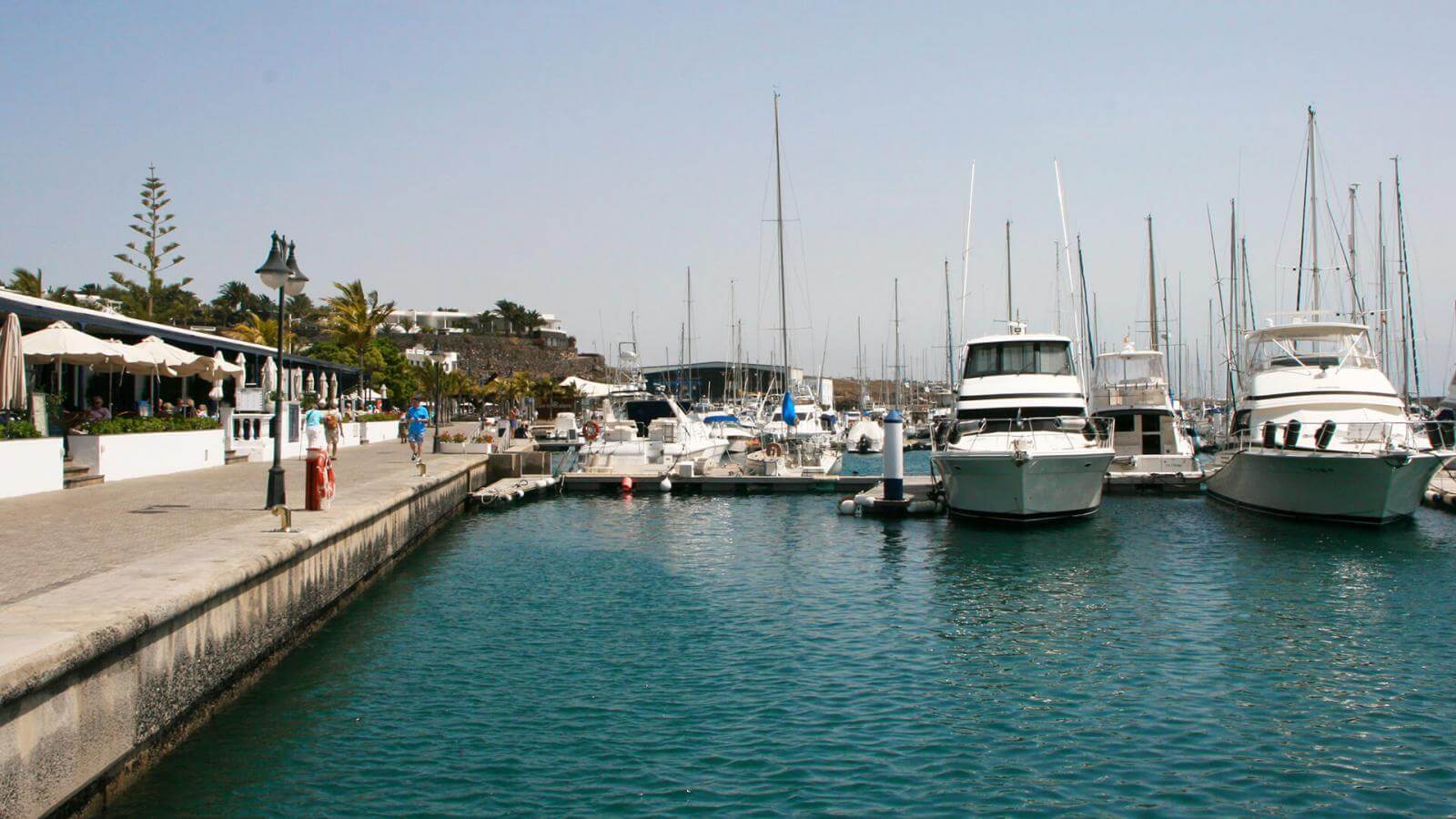 Marina Check-in