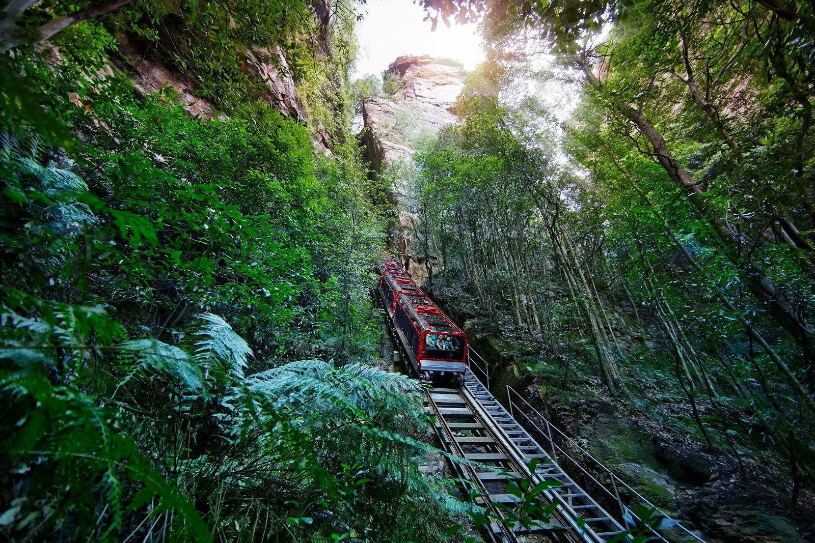Blue Mountains Day Trip Tour From Sydney