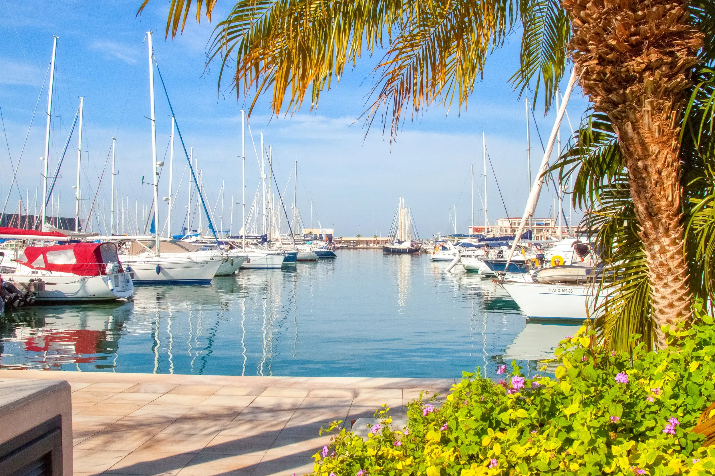Santa Pola Harbor Views