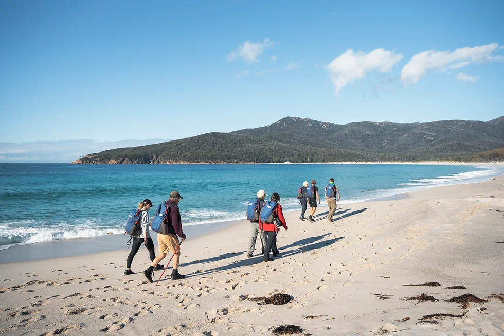 Wineglass Bay Shared Cruise and Walking Tour