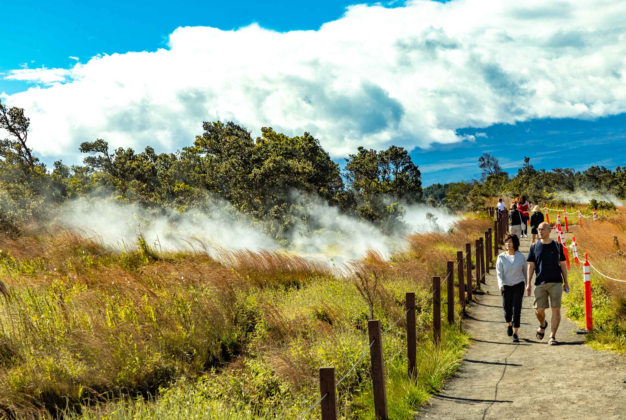 Steam Vents