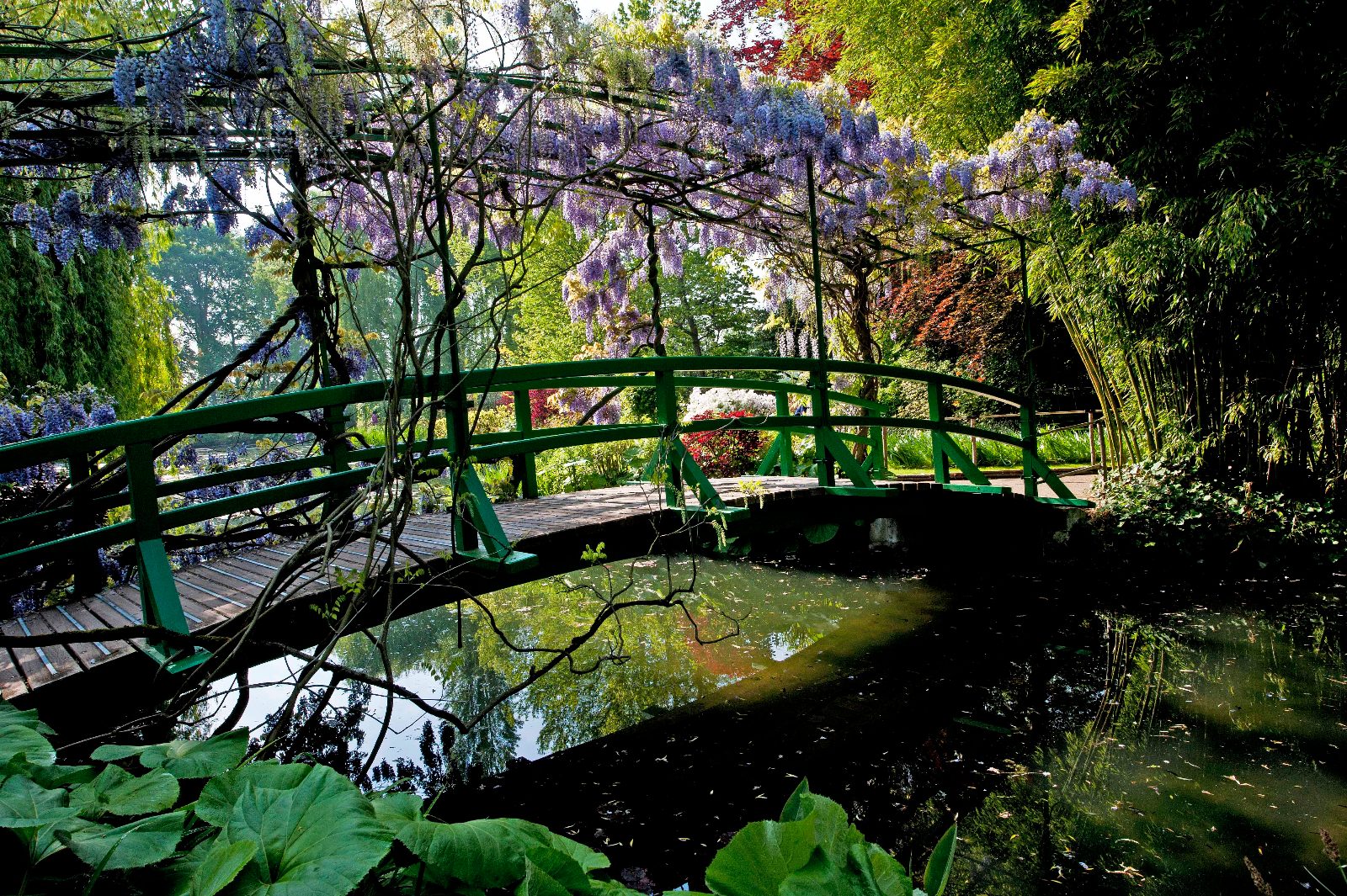 The Japanese Bridge