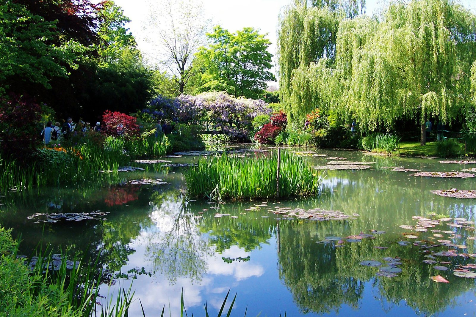 The Water Garden