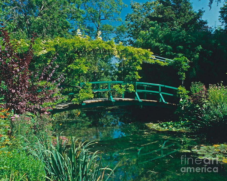 Japanese Bridge