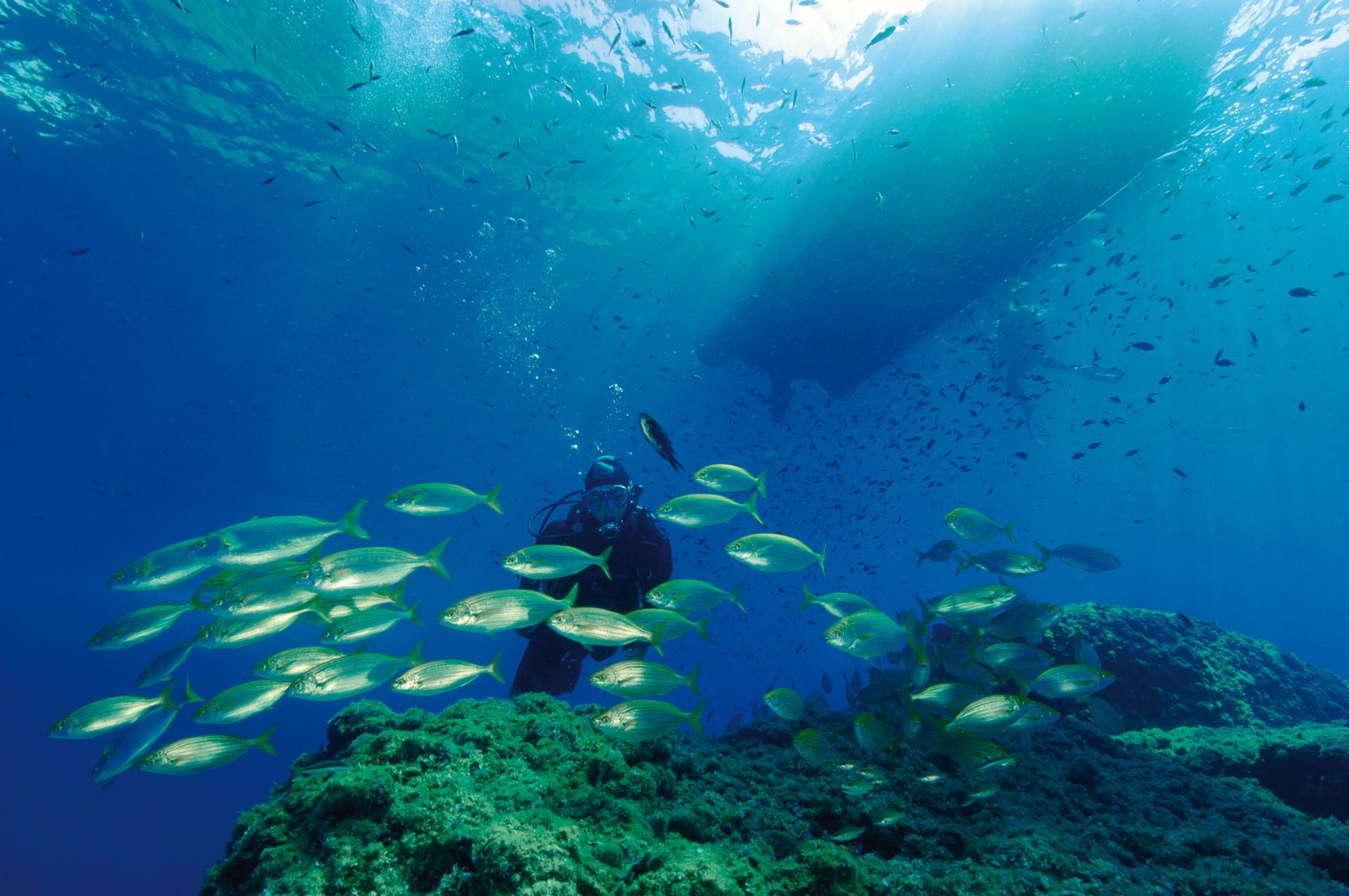 Portofino Marine Protected Area