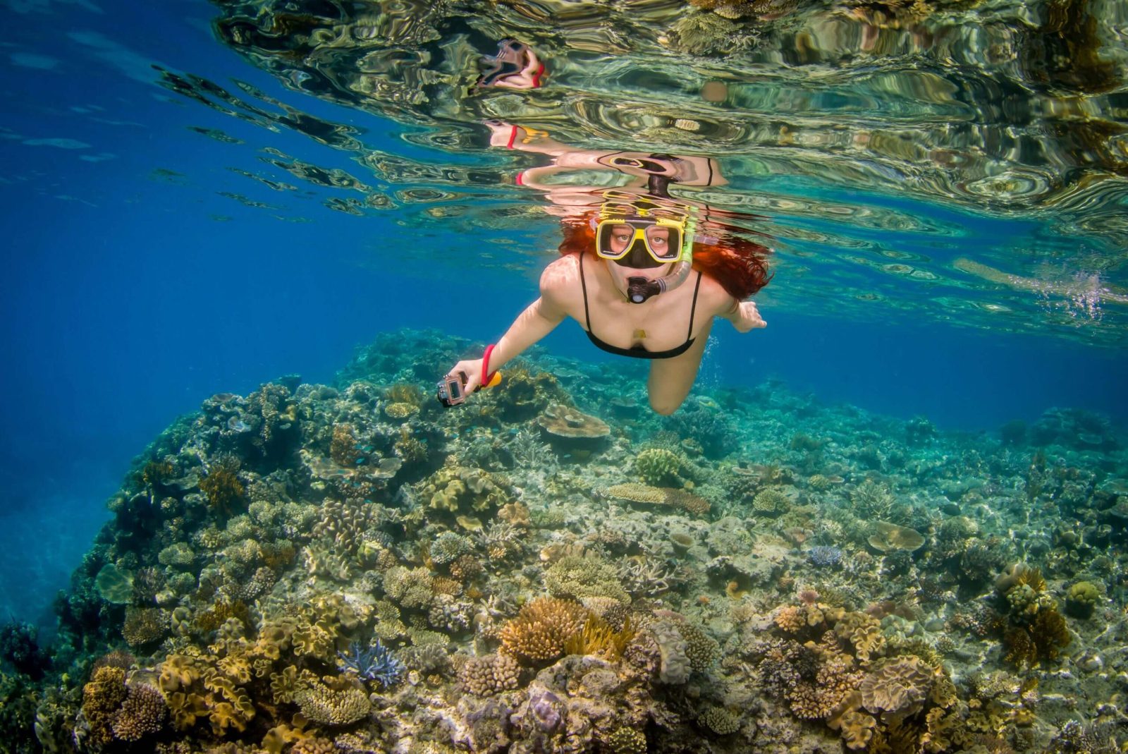 Snorkeling Session 2