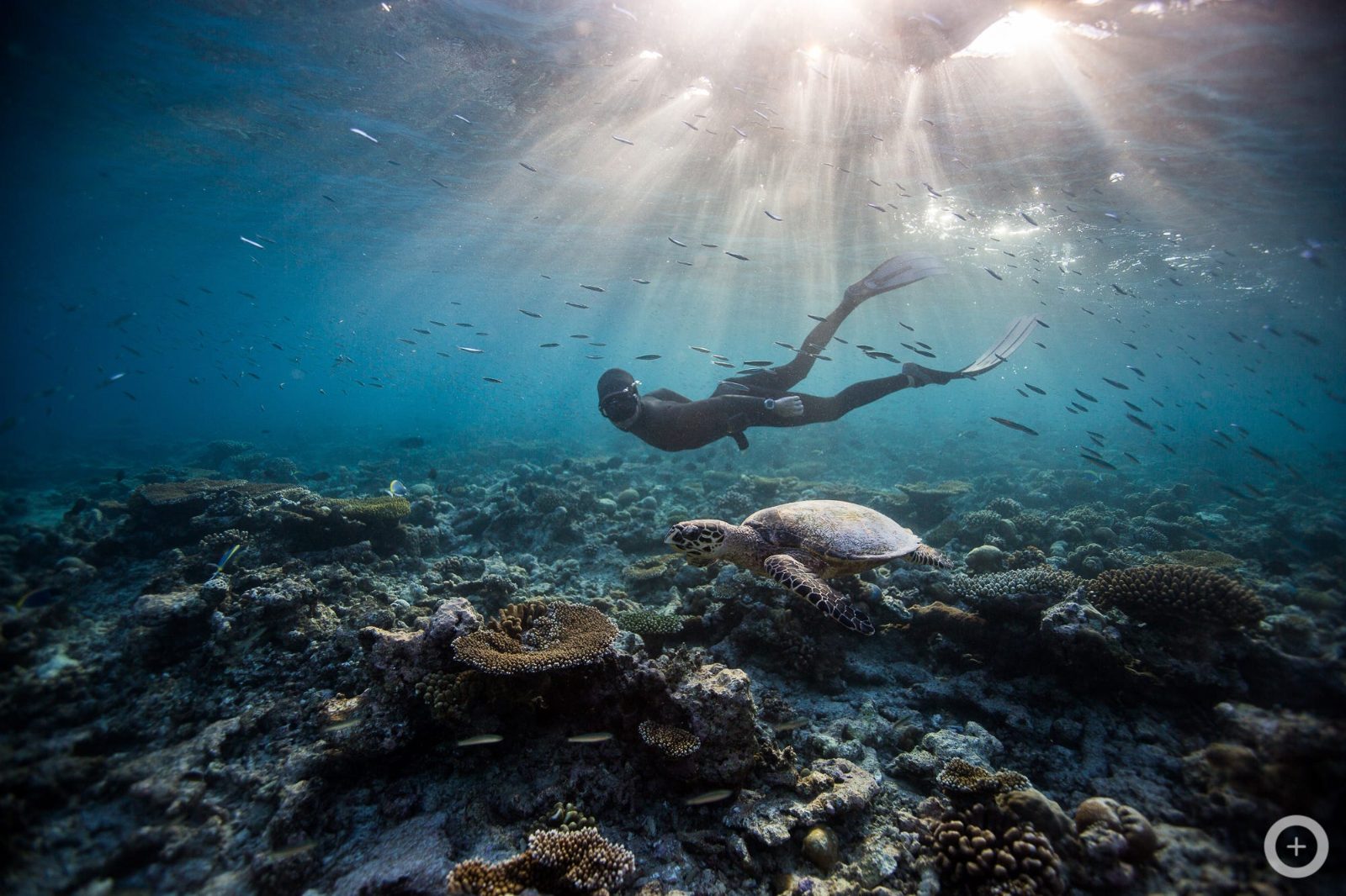 Snorkeling Session 1