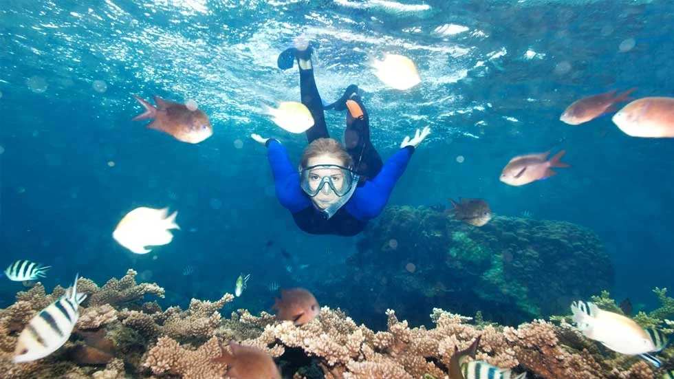 Snorkeling Day Trip Koh Lanta