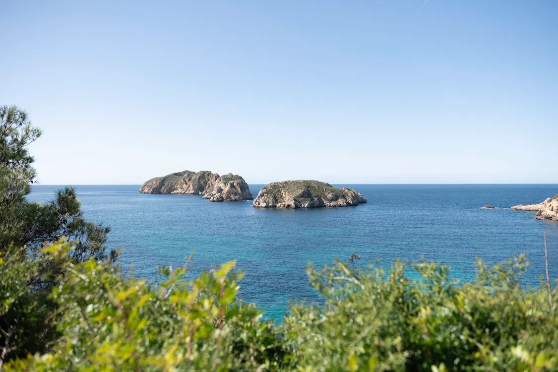 Malgrats Islands Viewpoint