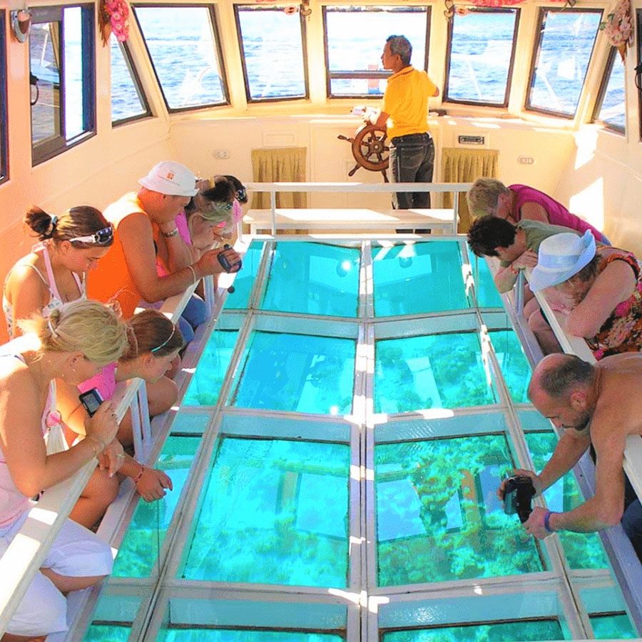 Dolphin Boat Trips Santa Ponsa