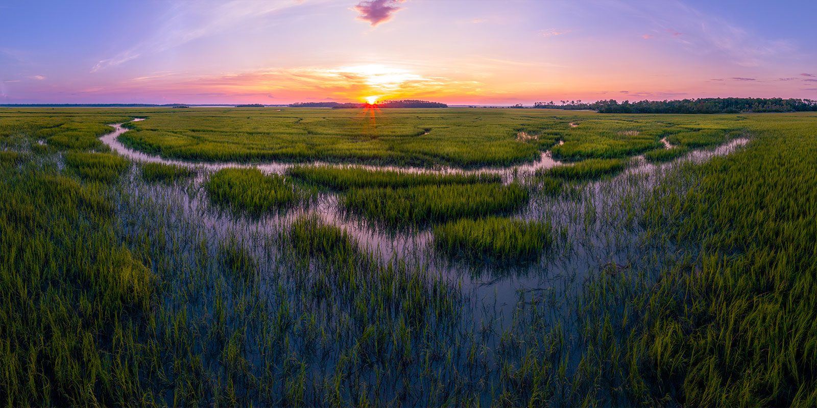 Lowcountry Marshlands