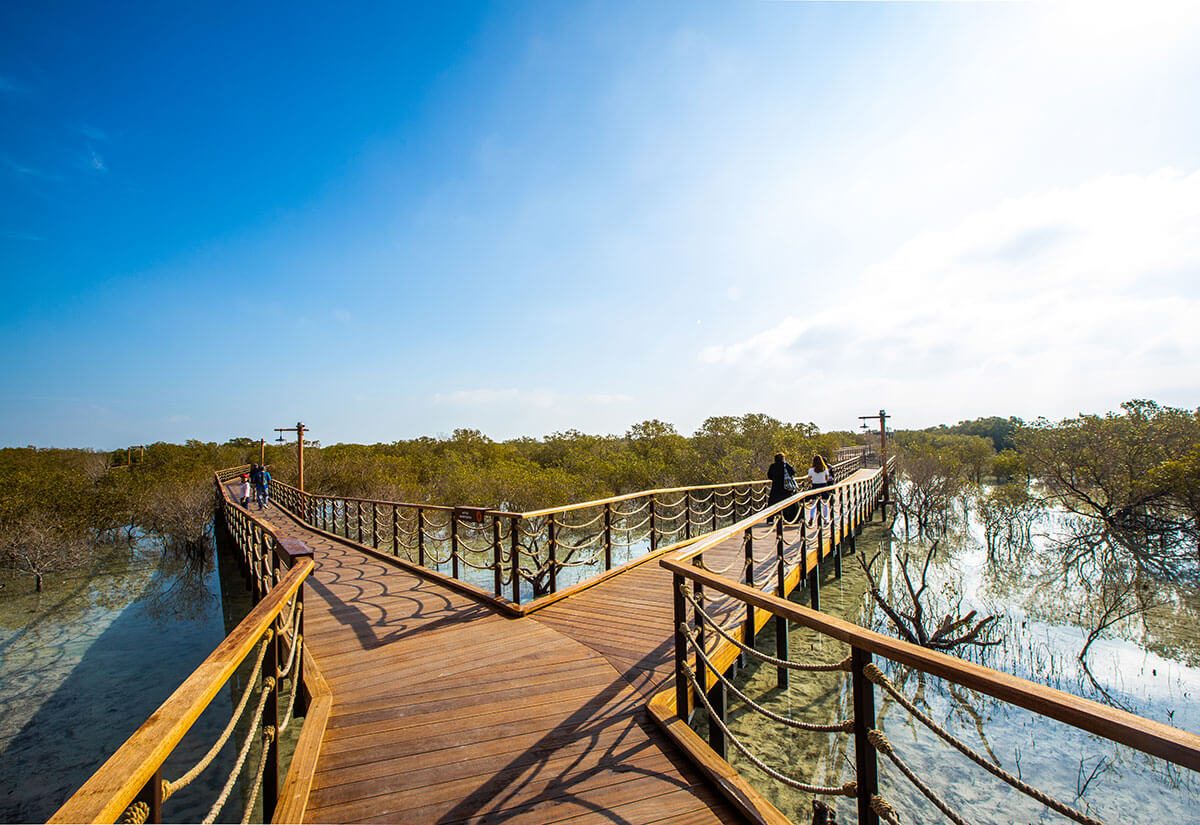 Baie Laraie Mangrove Boardwalk