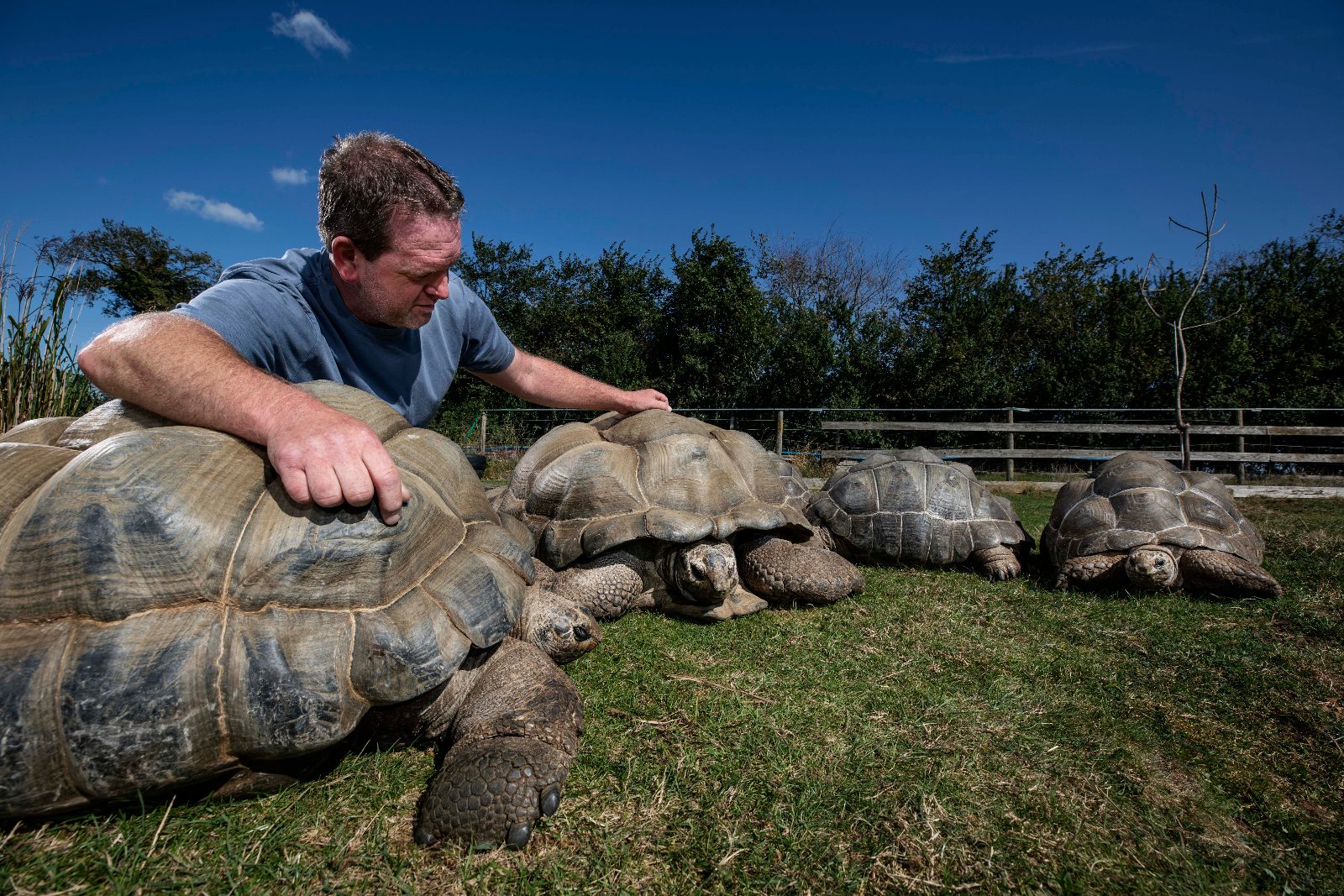 Giant Tortoise Sanctuary