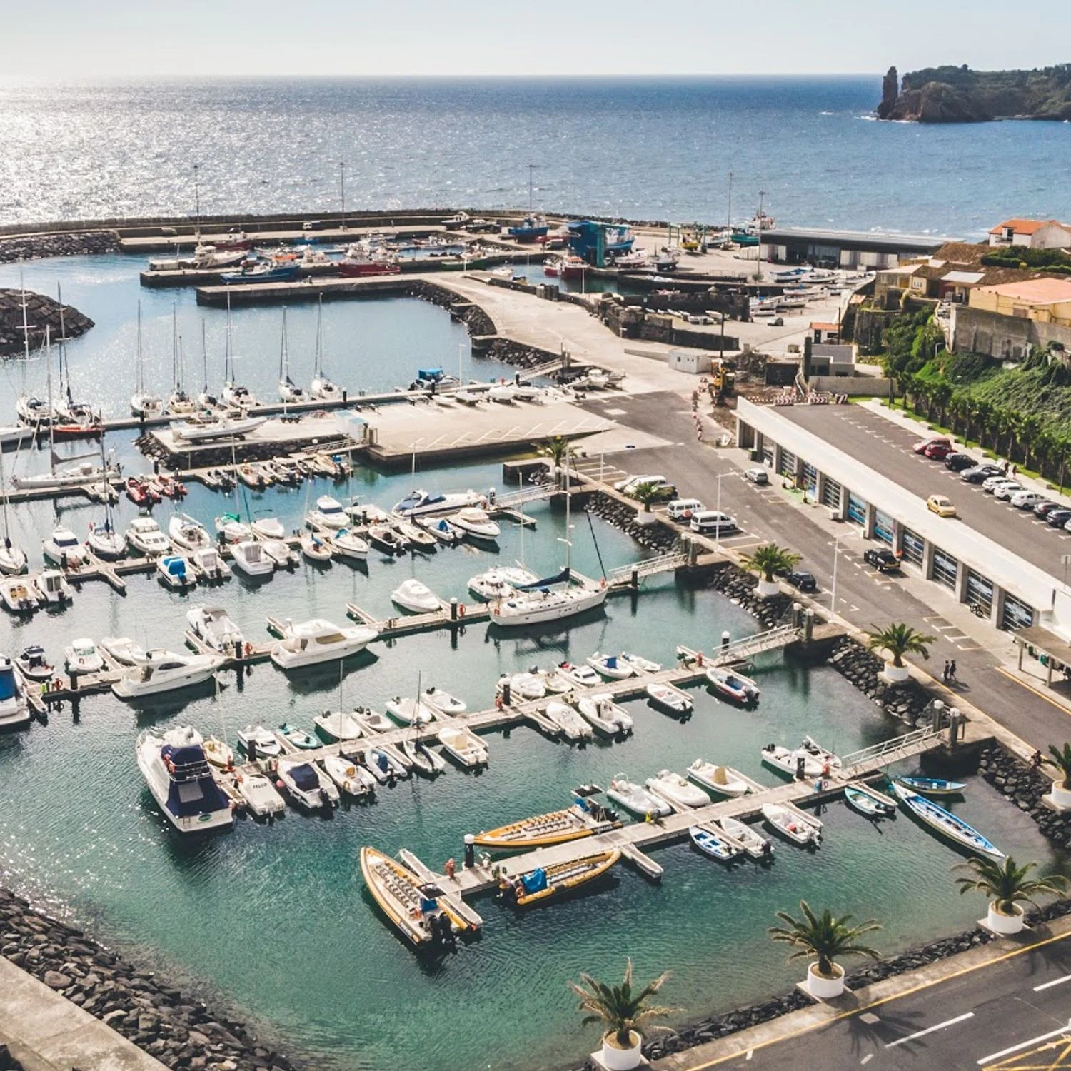 Check in at the marina