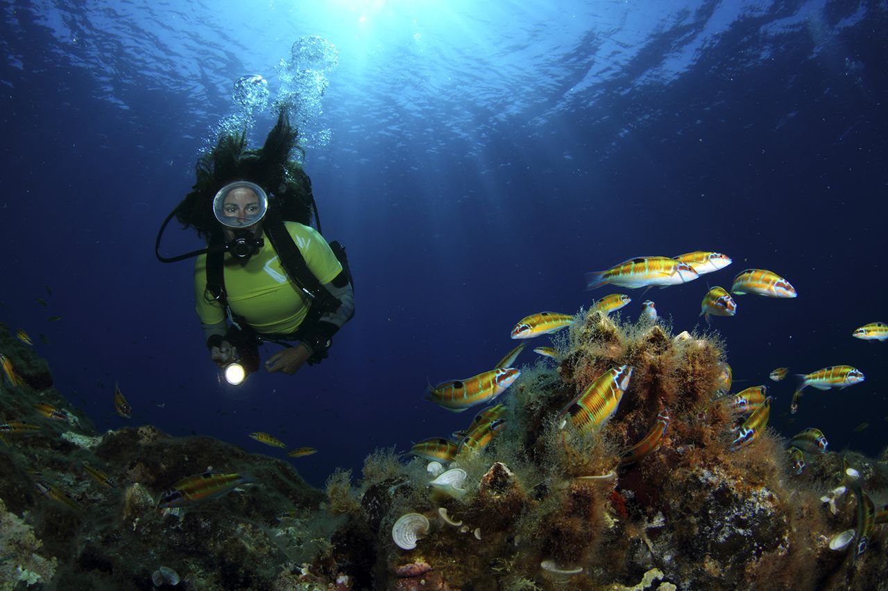 Azores Diving Package