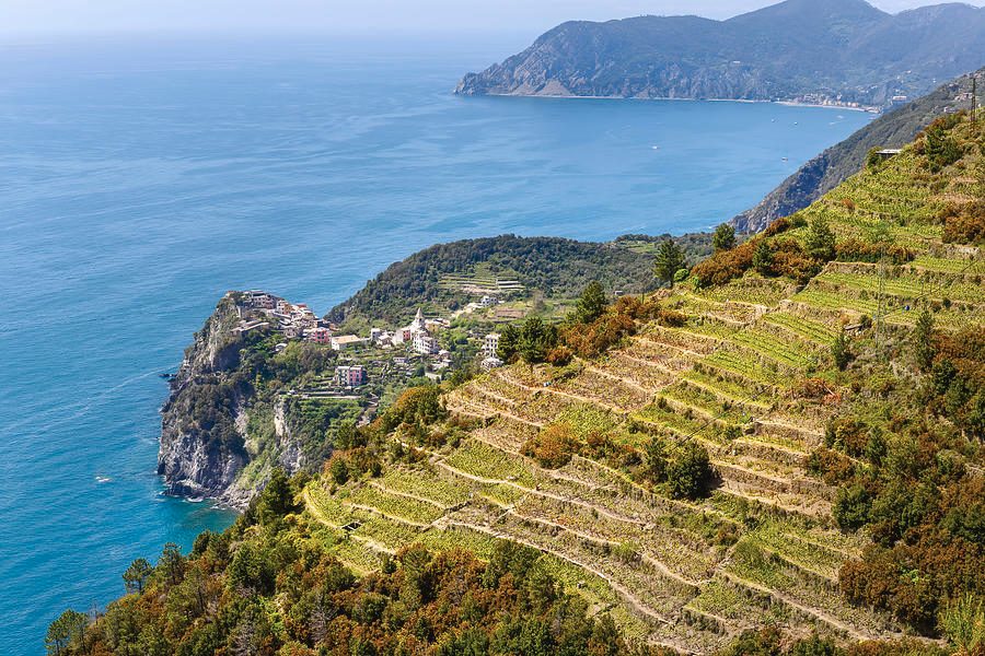 Corniglia Promontory