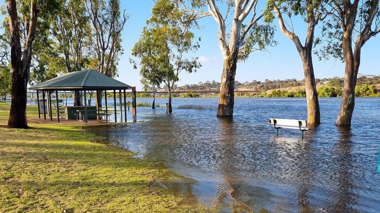 Sturt Reserve Riverbank