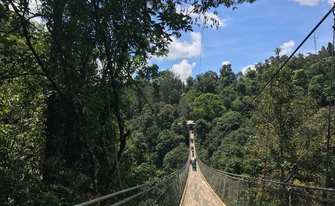 Kawasan Falls Suspension Bridge