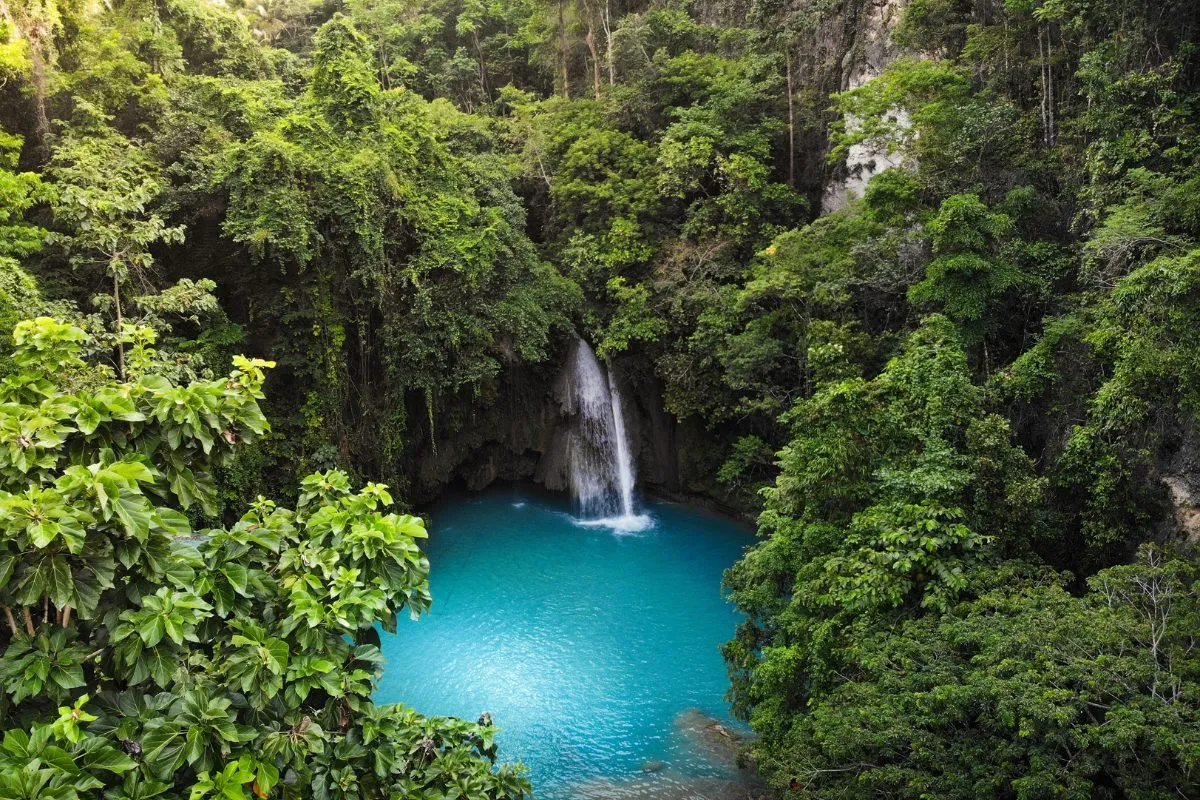 Kawasan Falls Third Tier Trail View