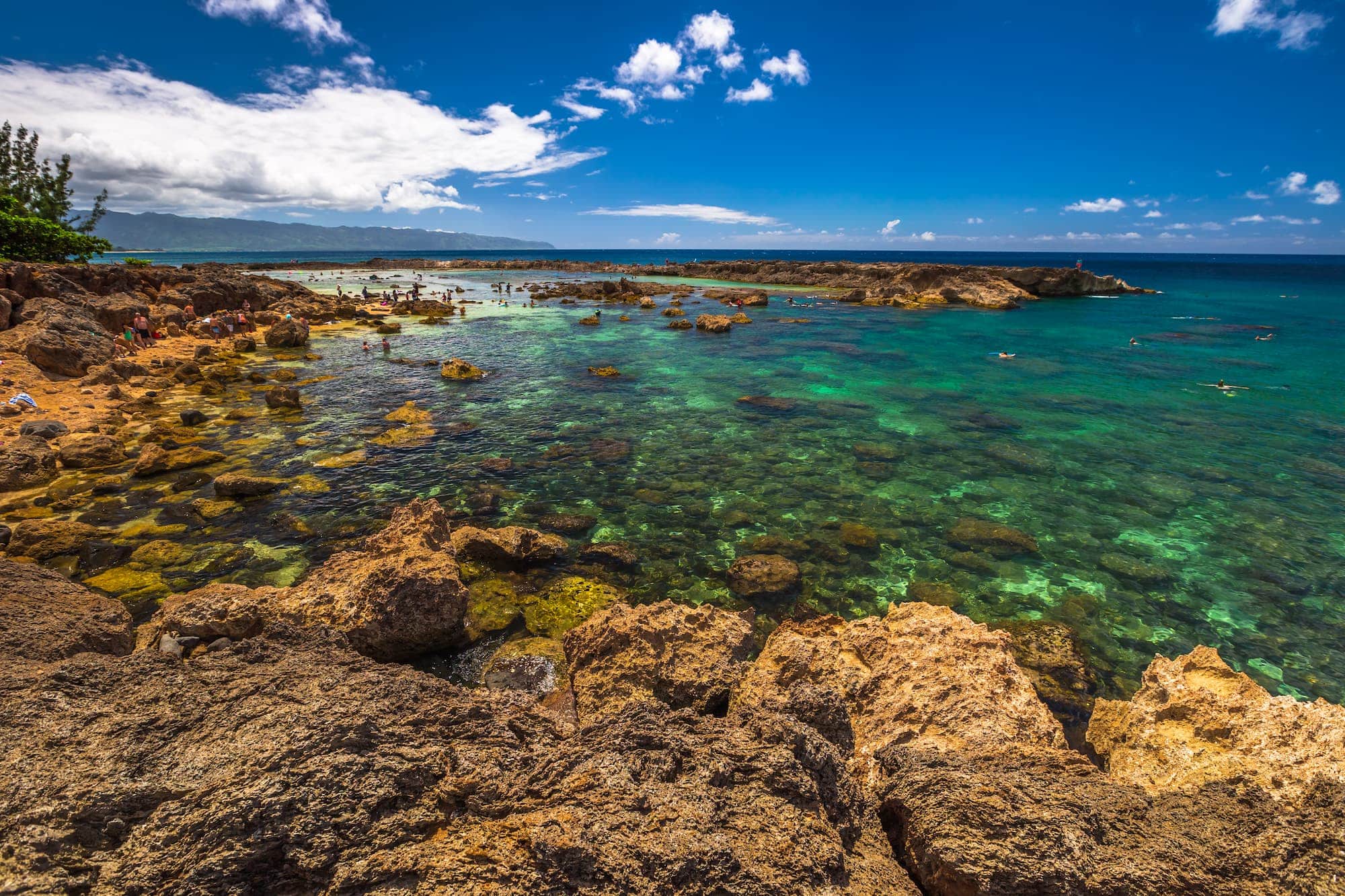 Shark's Cove