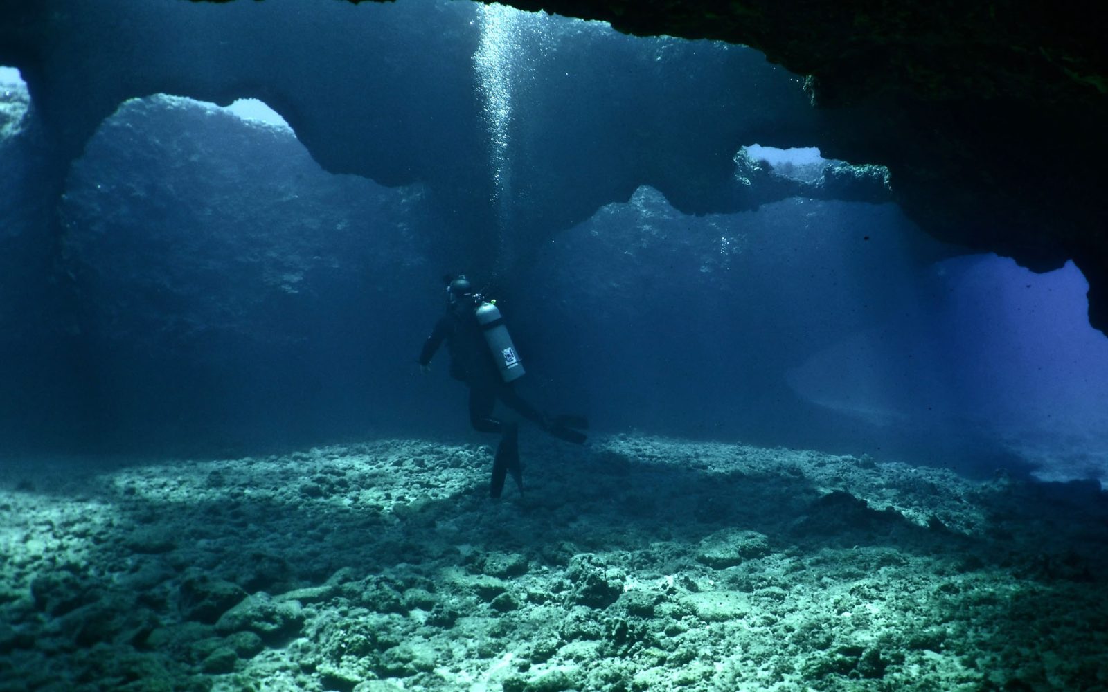 Shark's Cove Tunnels