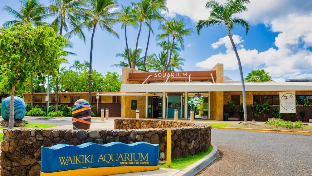 Waikiki Aquarium