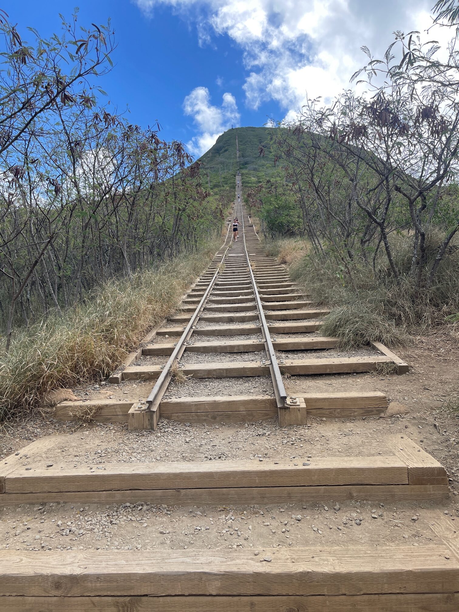 Koko Crater Trail (Koko Crater Railway Trail)