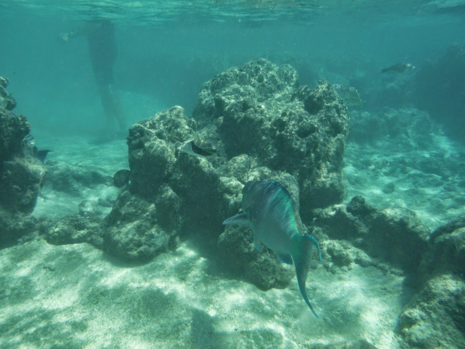 Ko Olina Lagoons