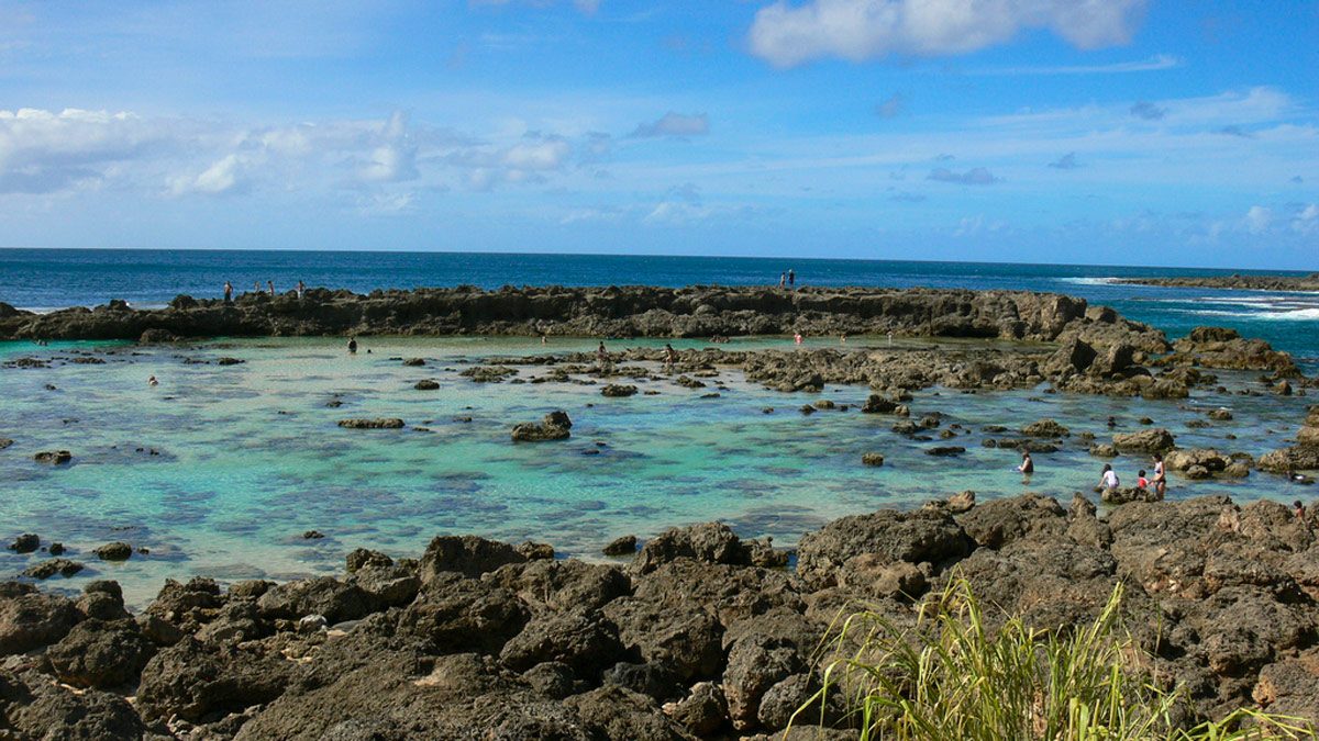 Shark's Cove