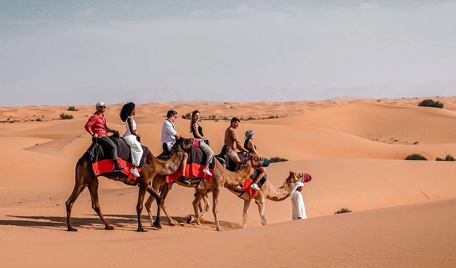 Camel trekking