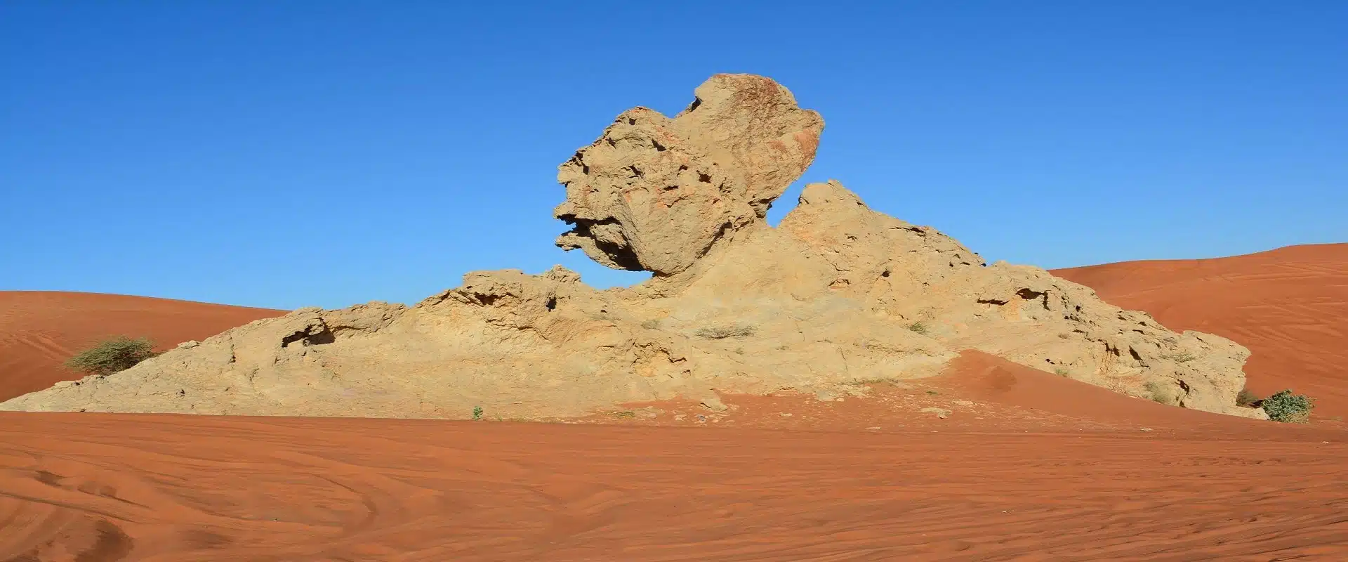 Fossil Rock Viewpoint