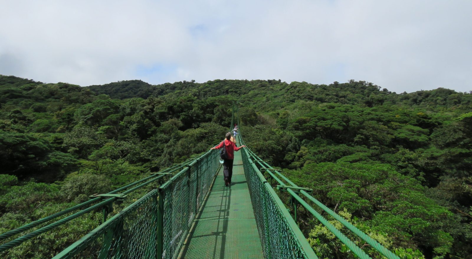 Explorer's Aviary Bridge