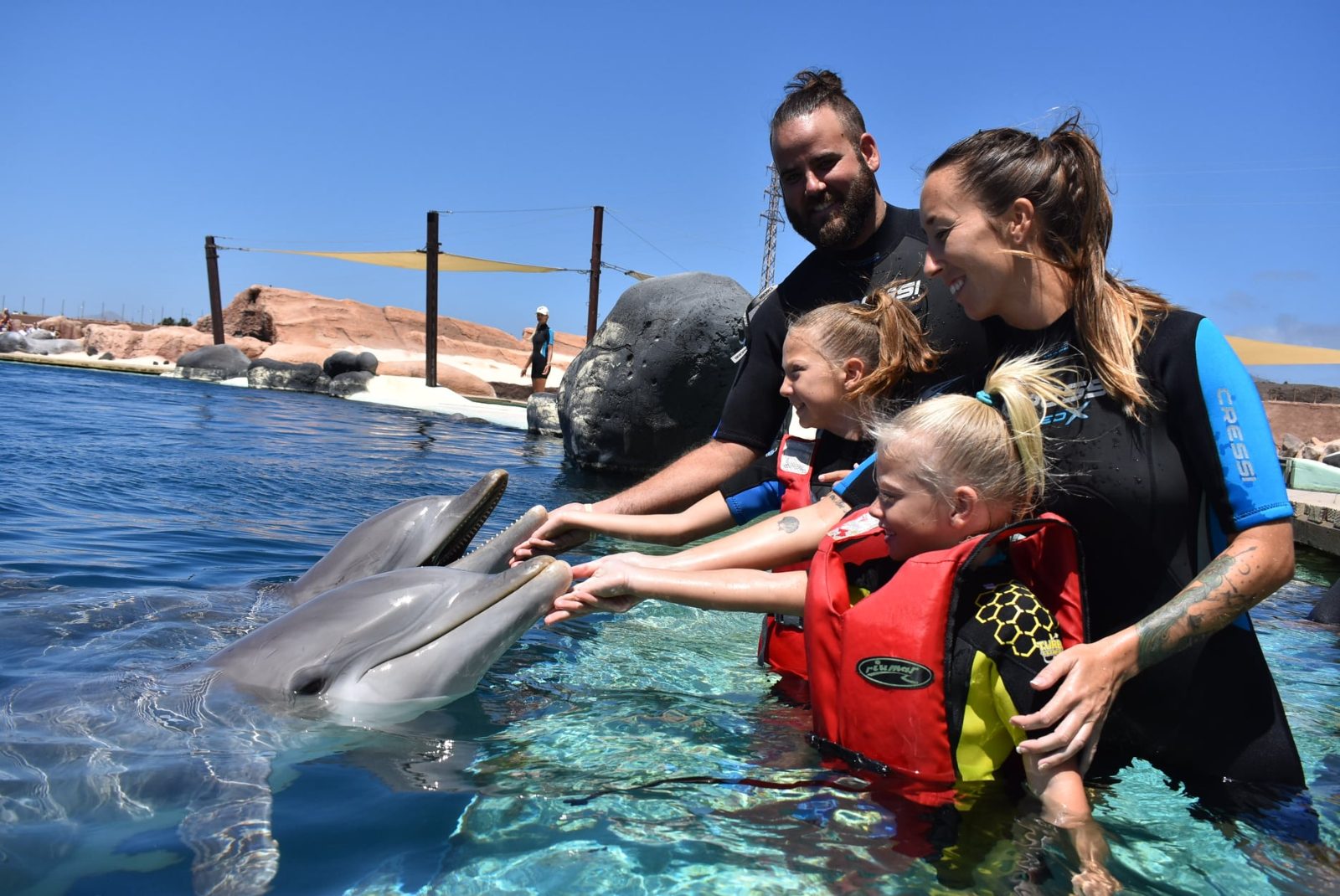 Swimming With Dolphins Orlando Tickets