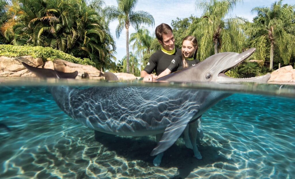 Dolphin Lagoon check-in