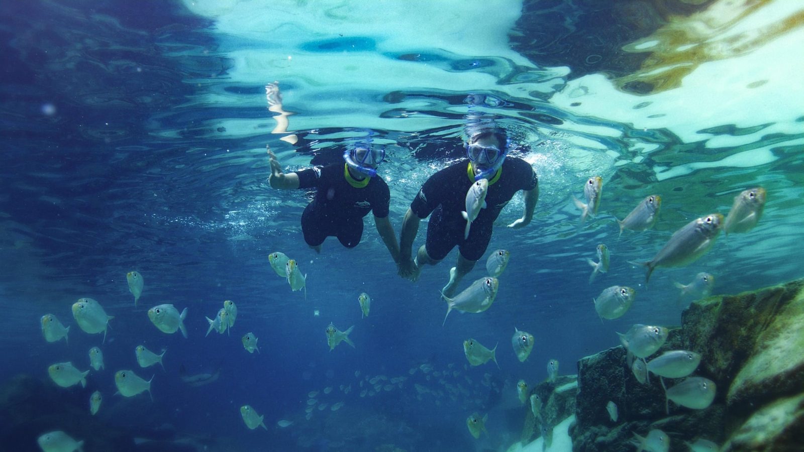 Grand Reef snorkel