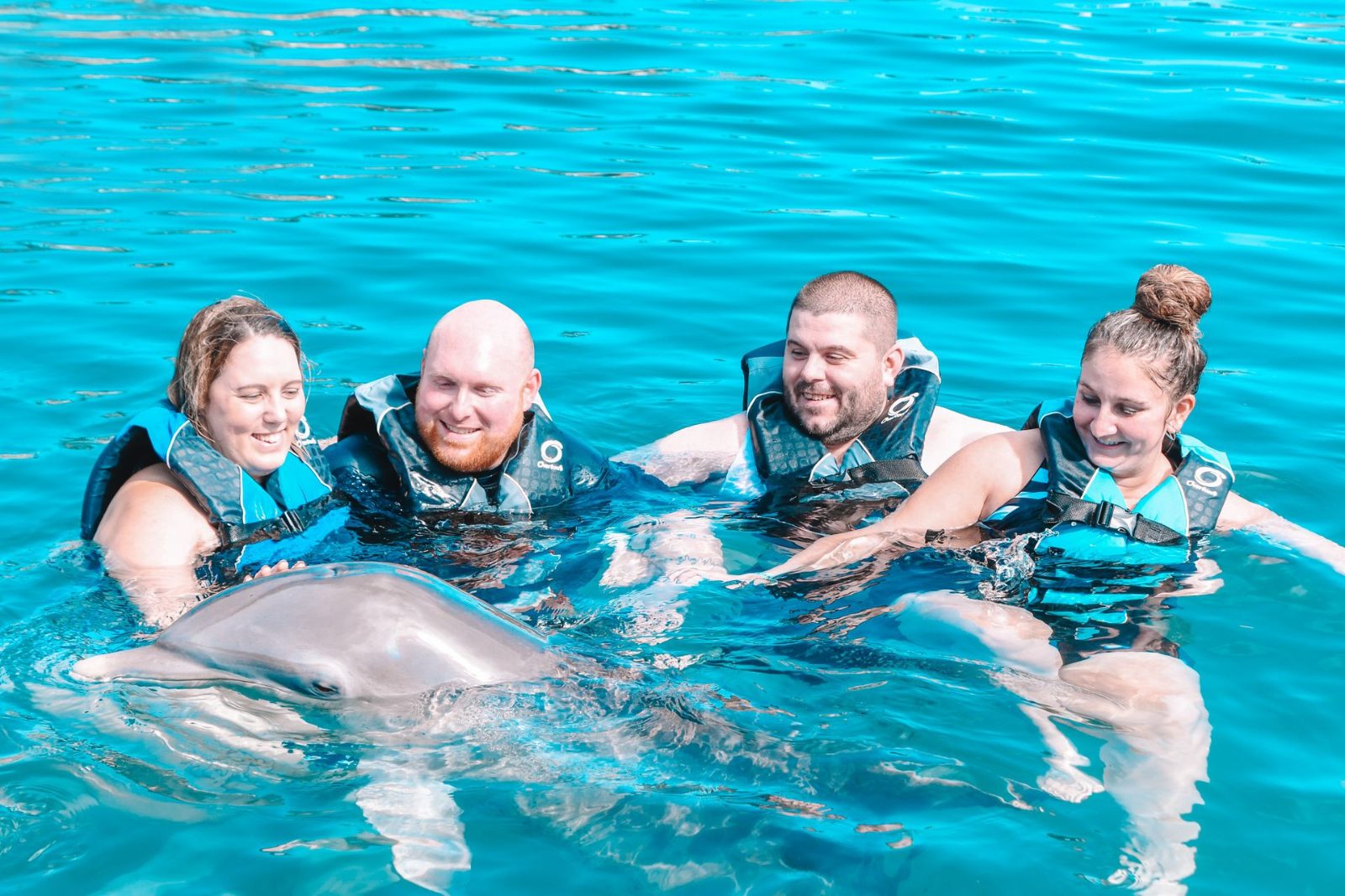 Dolphin Lagoon Swim Platform