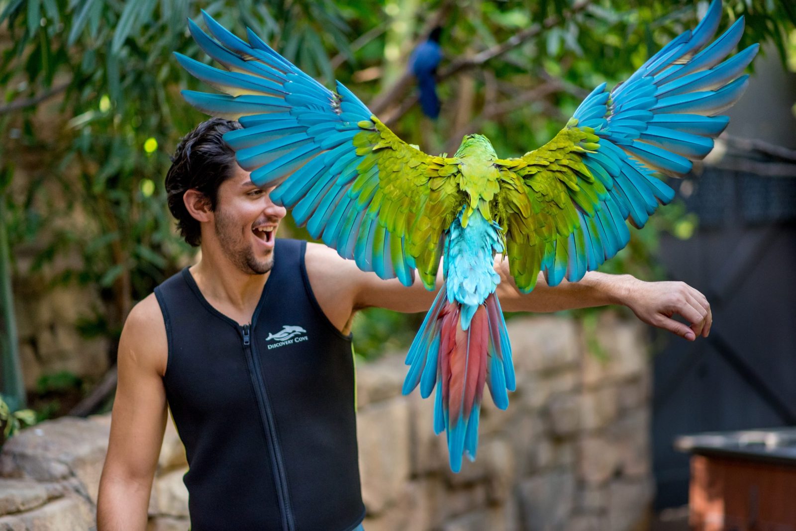 Explorer's Aviary Walkway