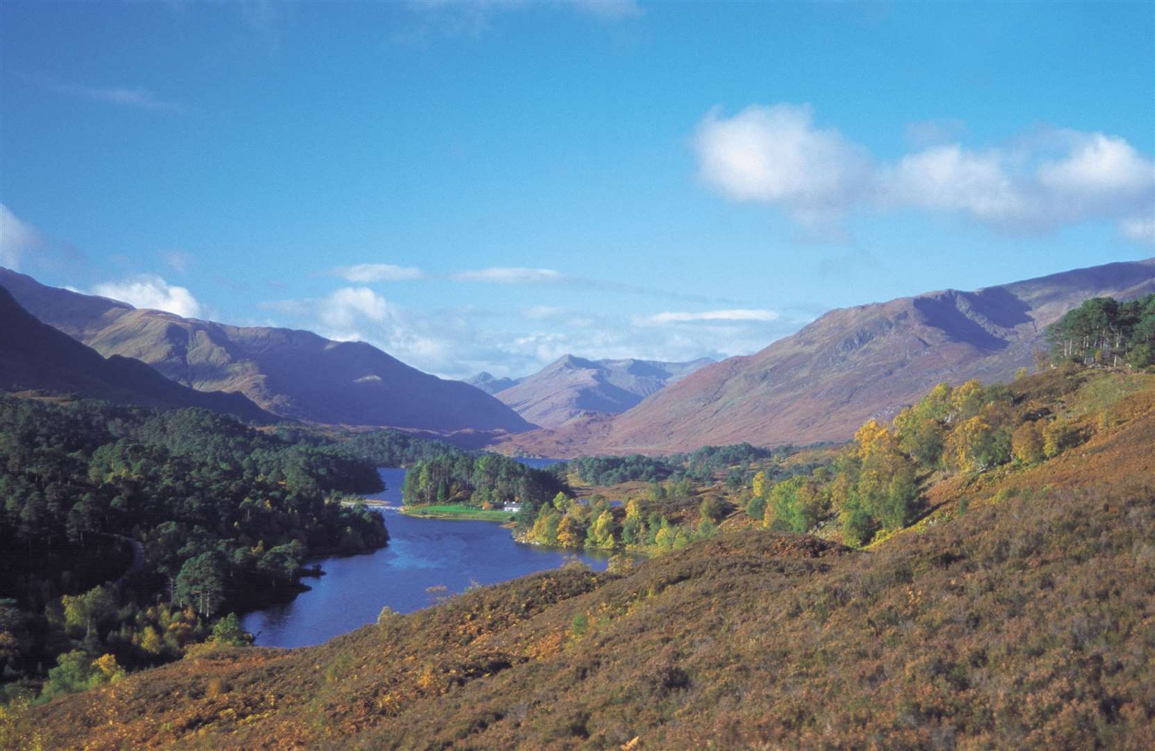 Glen Affric Viewpoint