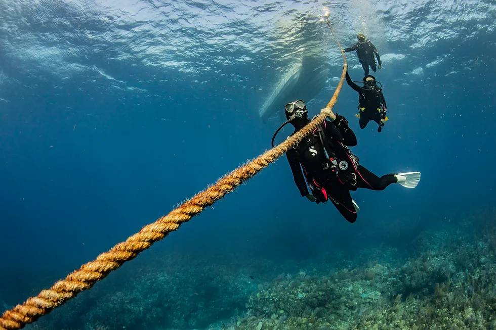 Great Barrier Reef Diving Tours
