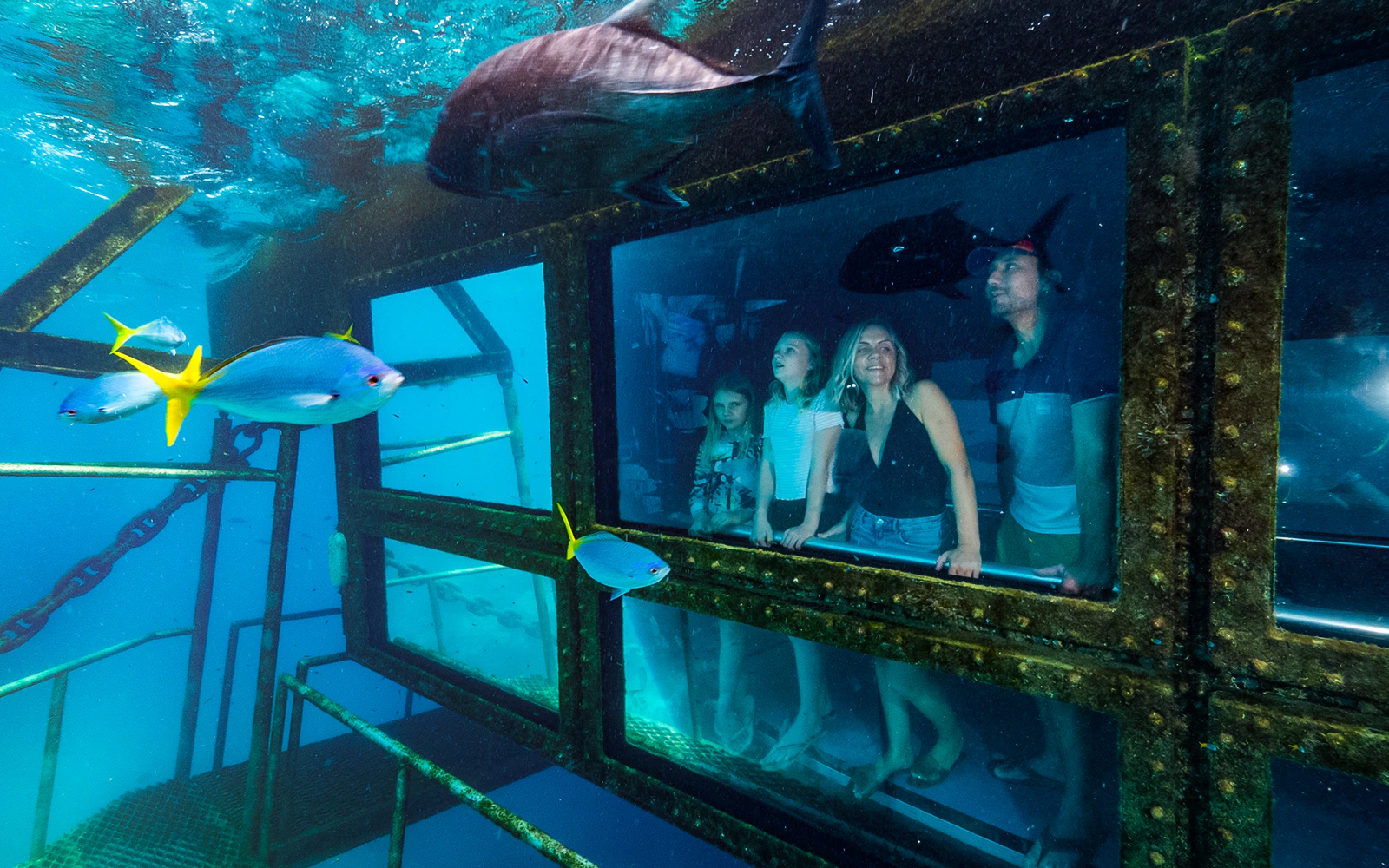 Semi-Submersible Viewing Windows