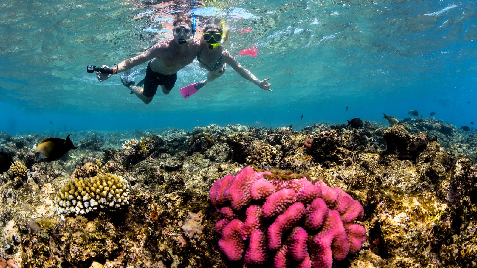 First snorkel session