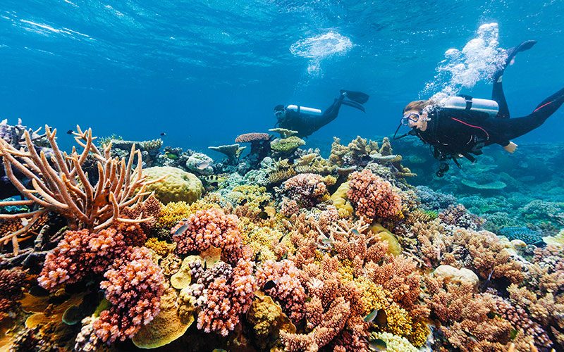 Agincourt Reef Outer Edge