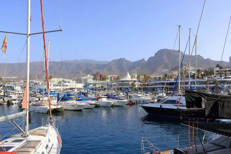 Return to Harbor
