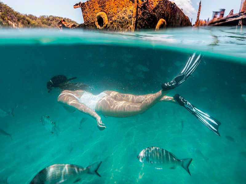 Tangalooma Wrecks